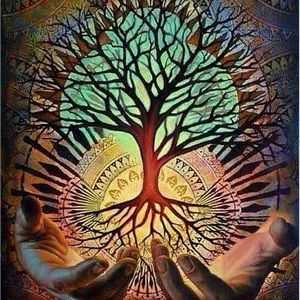 Meet your Posher, Cloee